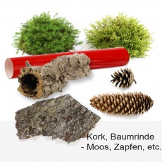 Natürliche Einrichtung