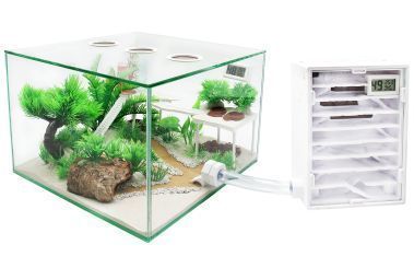 Ameisenfarm Komplettset 3XL & Ameisenfarm H2 & Ameisen nach Wahl 