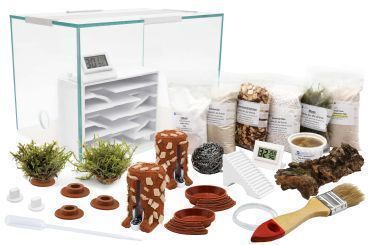 Ameisenfarm Komplettset Interne-Farm 