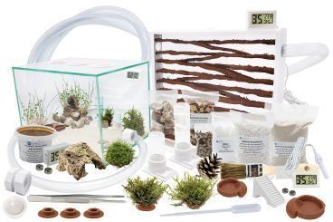 Ameisenkomplettset XXL-N Ameisenfarm S9 + Ameisen nach Wahl 