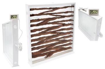 Ameisenfarm Inlay S9 