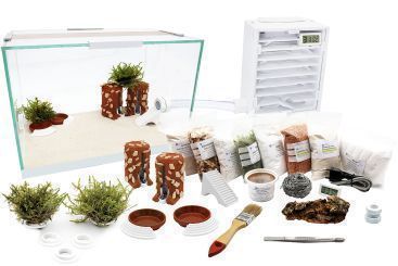 Ameisenfarm Komplettset XL-S & Ameisenfarm H2 & Ameise nach Wahl 