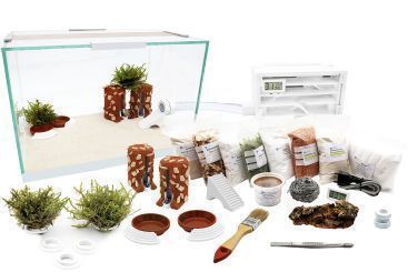 Ameisenfarm Komplettset XL-S Ameisenfarm H1 & ohne Ameisen 