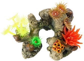 Koralle mit Pflanzen 