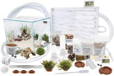 Ameisenkomplettset XXL-N Ameisenfarm S8 + Ameisen nach Wahl 