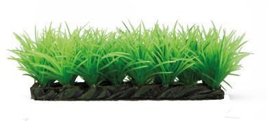 Gras auf Stein 1 Stück