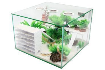 Ameisenfarm Komplettset 3XL & Ameisenfarm Intern 