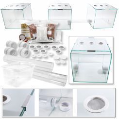 Blattschneider XXL Ameisenfarm Komplettset 