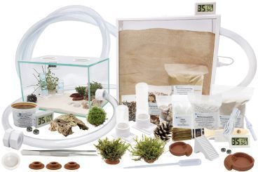 Ameisenkomplettset XL-N Ameisenfarm S7 + Ameisen nach Wahl 