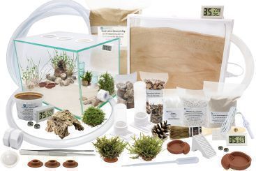 Ameisenkomplettset XXL-N Ameisenfarm S7 + Ameise nach Wahl 