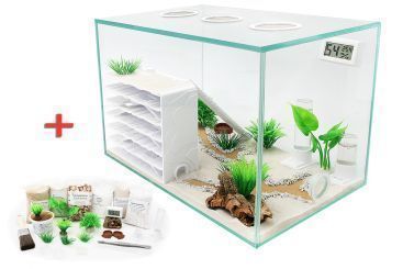 Ameisenkomplettset D + Interne Ameisenfarm + Ameisen nach Wahl 