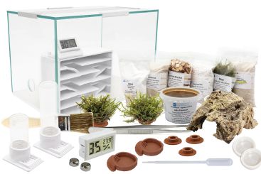 Ameisenkomplettset S + Interne Ameisenfarm + Ameisen nach Wahl 