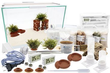 Ameisenkomplettset XL-S Ameisenfarm H1 & ohne Ameisen 1x Set ohne Ameisen